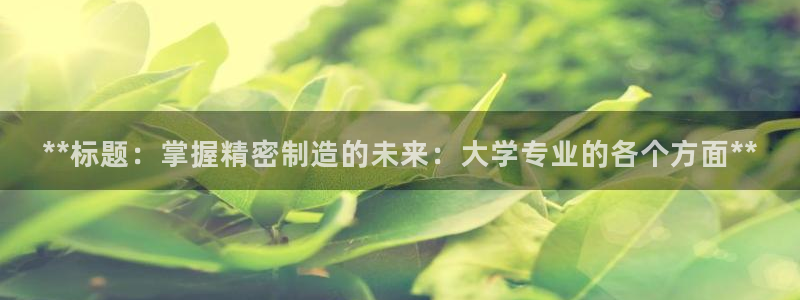 彩神旗下有哪些平台：**标题：掌握精密制造的未来：大学专业的各个方面**