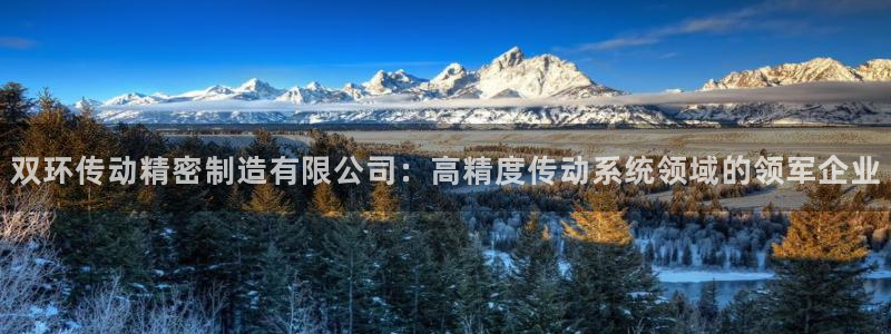 彩神网正规吗：双环传动精密制造有限公司：高精度传动系统领域的领军企业