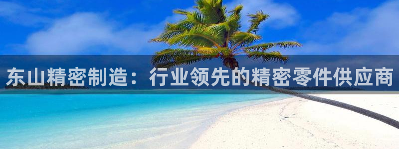 彩神v争霸是啥：东山精密制造：行业领先的精密零件供应商