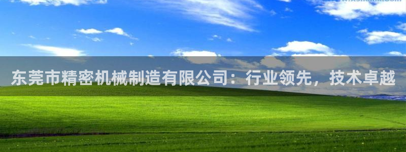 彩神天下专家专栏：东莞市精密机械制造有限公司：行业领先，技术卓越
