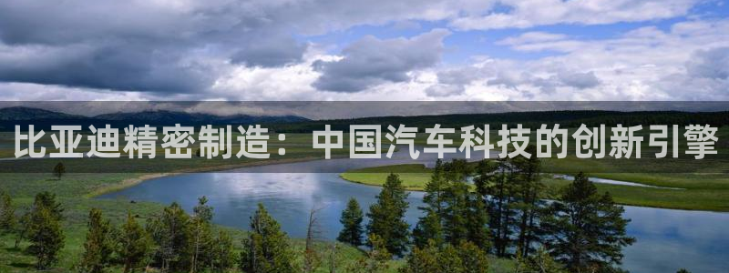 彩神购彩-购彩大厅入口：比亚迪精密制造：中国汽车科技的创新引擎