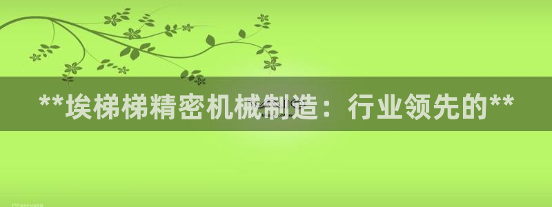 新版彩神v8登录不了：**埃梯梯精密机械制造：行业领先的**
