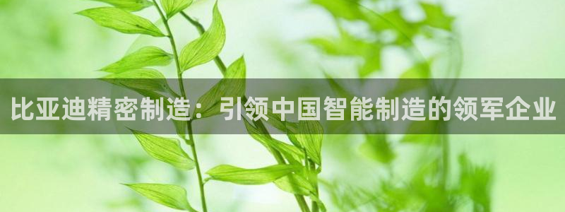 彩神是怎样一个平台赚钱的：比亚迪精密制造：引领中国智能制造的领军企业