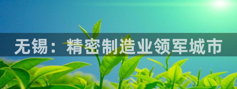 彩神盈利图片：无锡：精密制造业领军城市