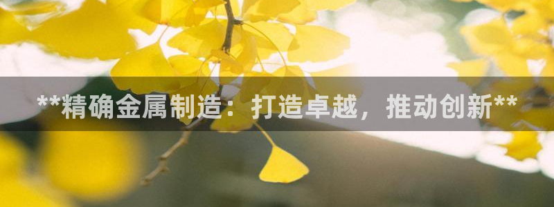 彩神用户登录：**精确金属制造：打造卓越，推动创新**