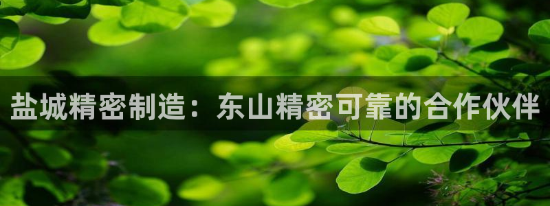 彩神的邀请码是多少：盐城精密制造：东山精密可靠的合作伙伴