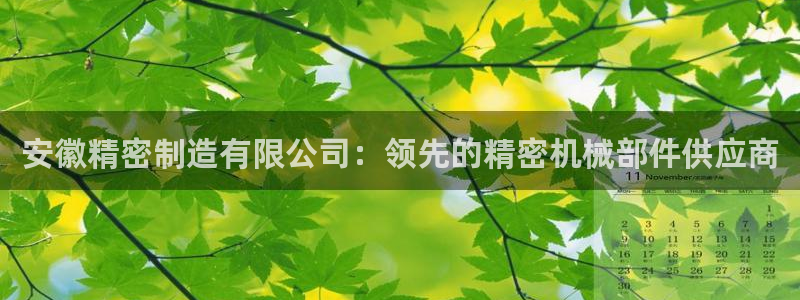 彩神iv真的能赚钱吗：安徽精密制造有限公司：领先的精密机械部件供应商