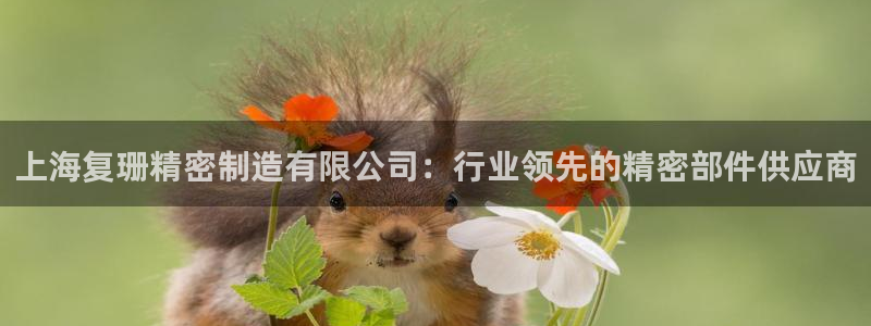 彩神ios下载：上海复珊精密制造有限公司：行业领先的精密部件供应商