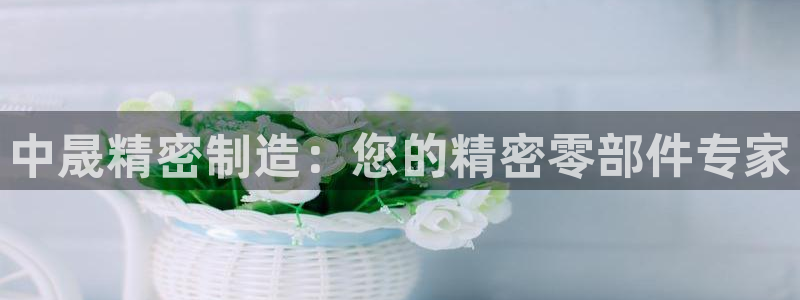 彩神v8有多久了?靠谱吗：中晟精密制造：您的精密零部件专家