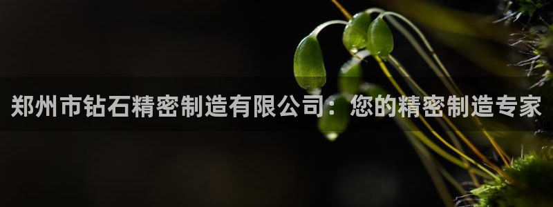 彩神赢的钱是哪里来的啊：郑州市钻石精密制造有限公司：您的精密制造专家