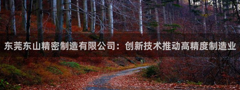 彩神购彩-购彩大厅入口：东莞东山精密制造有限公司：创新技术推动高精度制造业