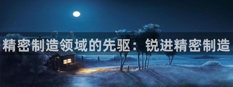 v彩神88iii：精密制造领域的先驱：锐进精密制造