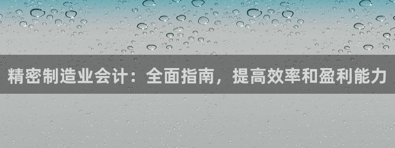 彩神网能赚钱是怎么回事：精密制造业会计：全面指南，提高效率和盈利能力