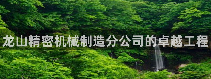 彩神趣购彩用户注册：龙山精密机械制造分公司的卓越工程