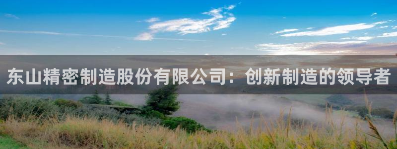 彩神vii购彩l心：东山精密制造股份有限公司：创新制造的领导者