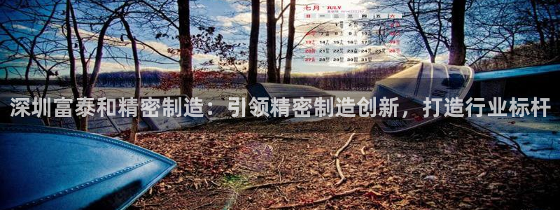彩神8购彩-购彩大厅：深圳富泰和精密制造：引领精密制造创新，打造行业标杆