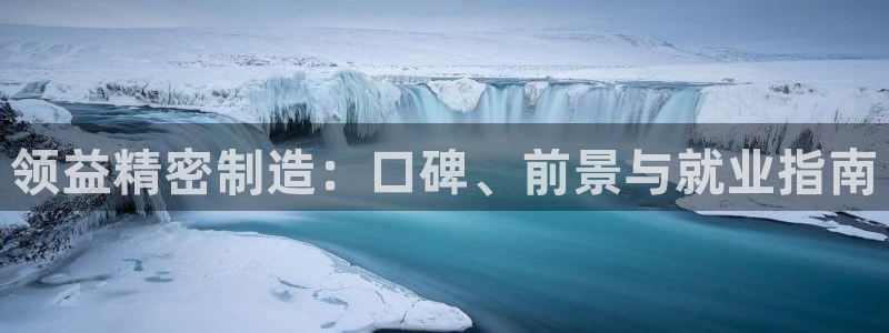 彩神VII官方版：领益精密制造：口碑、前景与就业指南