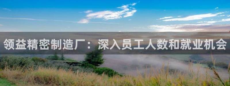 彩神用户登录：领益精密制造厂：深入员工人数和就业机会