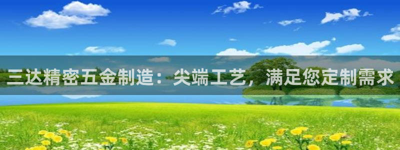 彩神vlll游戏特色：三达精密五金制造：尖端工艺，满足您定制需求