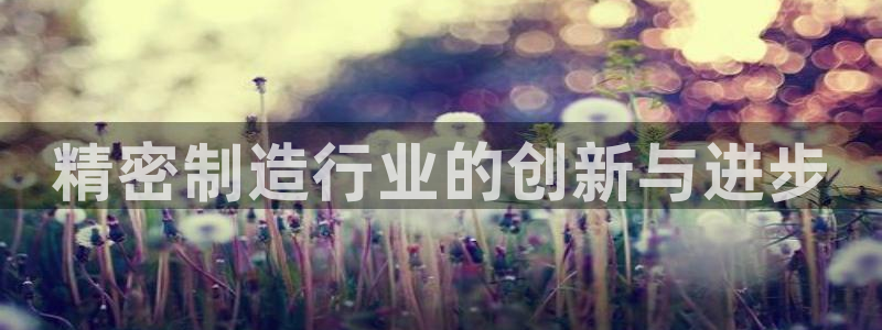 彩神vlll游戏特色：精密制造行业的创新与进步