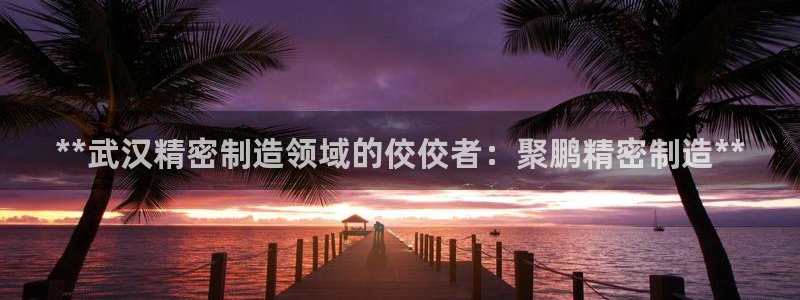 彩神大发如何观察走势：**武汉精密制造领域的佼佼者：聚鹏精密制造**