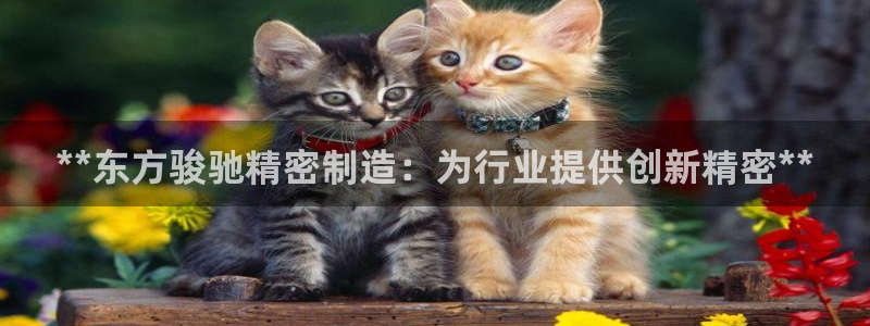 彩神vip购彩大厅在哪：**东方骏驰精密制造：为行业提供创新精密**