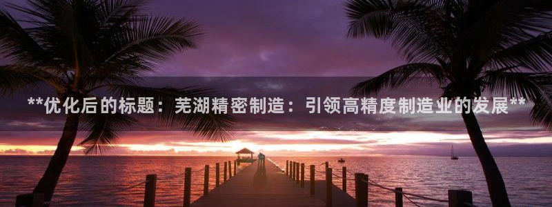 彩神iv能赚钱吗：**优化后的标题：芜湖精密制造：引领高精度制造业的发展**