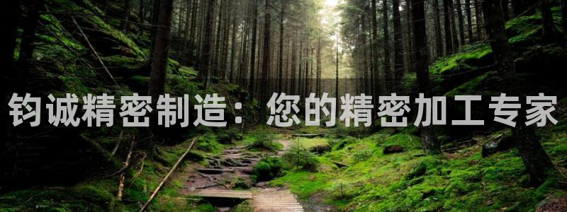 彩神网官网登录：钧诚精密制造：您的精密加工专家