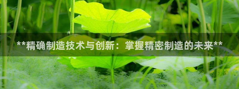 彩神ix平台：**精确制造技术与创新：掌握精密制造的未来**