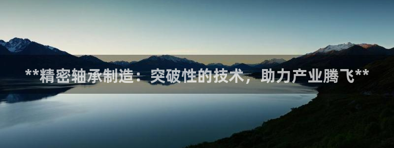 彩神vip购彩：**精密轴承制造：突破性的技术，助力产业腾飞**