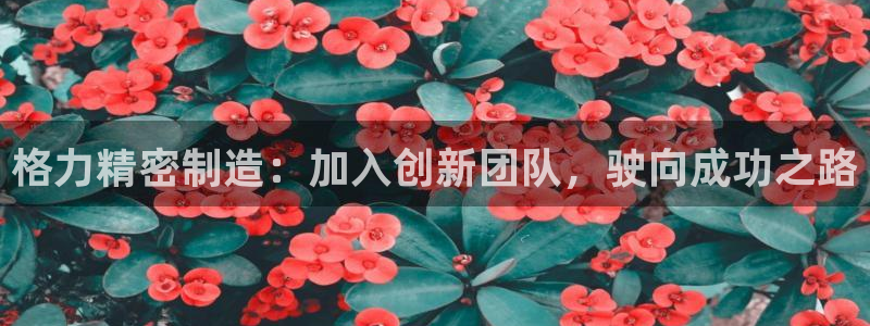 彩神viii下载安卓：格力精密制造：加入创新团队，驶向成功之路