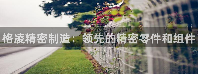 彩神大发三期计划网站：格凌精密制造：领先的精密零件和组件