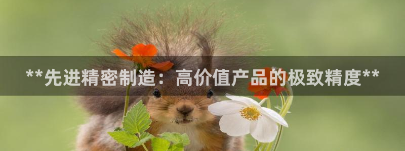 彩神Vii购彩-购彩大厅：**先进精密制造：高价值产品的极致精度**