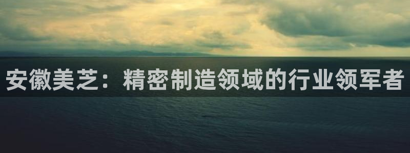 彩神vll购彩大厅大众