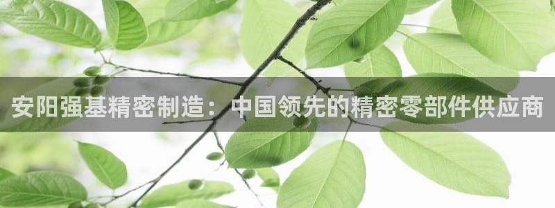 彩神vll购彩大厅大众