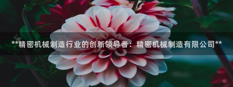 下载彩神争霸谁与我争锋：**精密机械制造行业的创新领导者：精密机械制造有限公司**