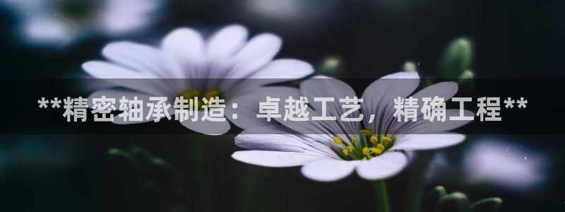 彩神ix官网是哪个公司的：**精密轴承制造：卓越工艺，精确工程**