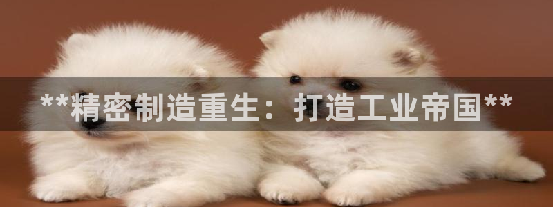 彩神是正规平台吗：**精密制造重生：打造工业帝国**