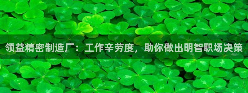 彩神争霸平台：领益精密制造厂：工作辛劳度，助你做出明智职场决策