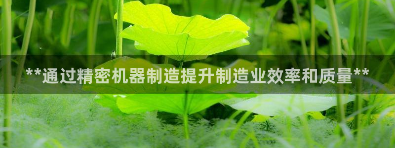 彩神争霸官方下载：**通过精密机器制造提升制造业效率和质量**