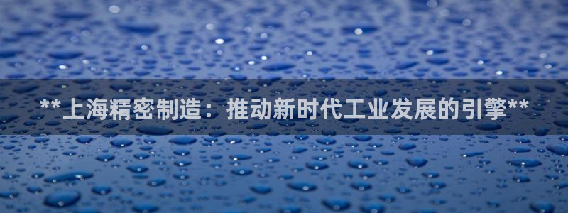 在彩神网输了六万多怎么拿回来：**上海精密制造：推动新时代工业发展的引擎**
