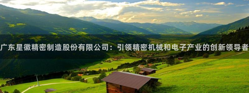 彩神骗局：广东星徽精密制造股份有限公司：引领精密机械和电子产业的创新领导者