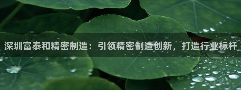 彩神怎么才能赢：深圳富泰和精密制造：引领精密制造创新，打造行业标杆