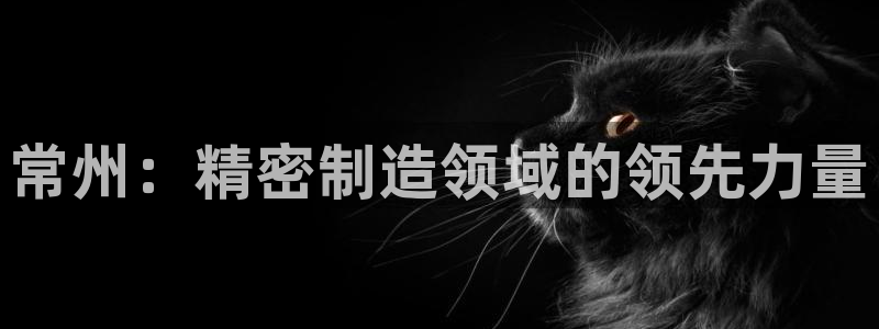 彩神x平台靠什么盈利：常州：精密制造领域的领先力量