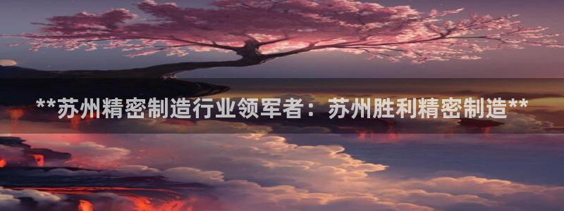 彩神V购彩大厅：**苏州精密制造行业领军者：苏州胜利精密制造**