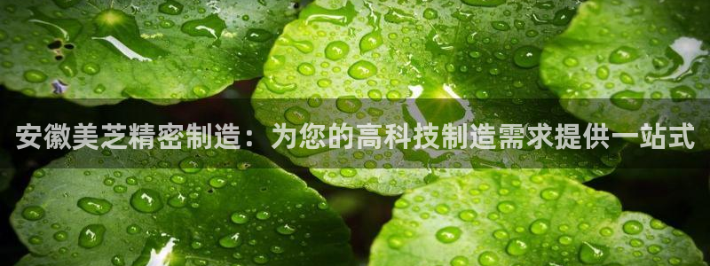 彩神通官方网