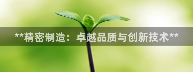 彩神新微聊