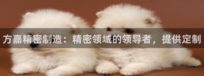 彩神v8客户端：方嘉精密制造：精密领域的领导者，提供定制