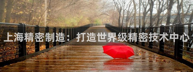 彩神到底能不能赚钱：上海精密制造：打造世界级精密技术中心