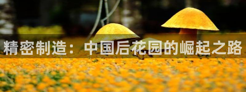 新版彩神v8登录：精密制造：中国后花园的崛起之路